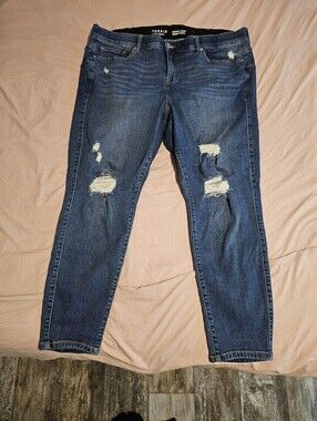Bombshell Skinny Stretch Ripped Jeans